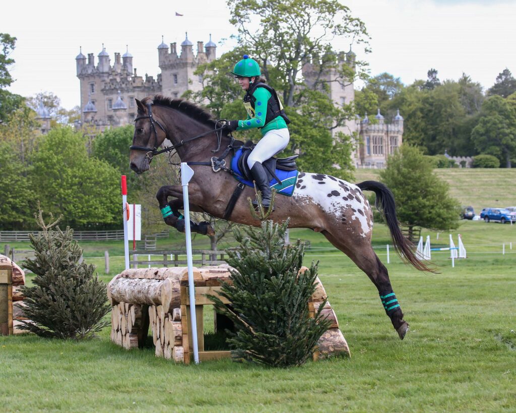 Horse jumping