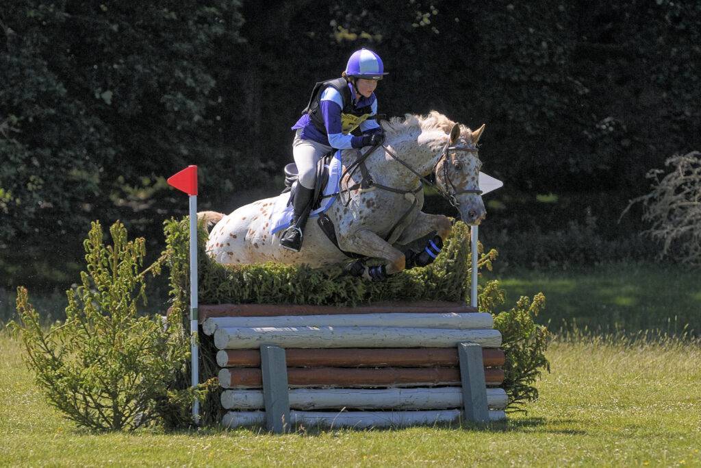 Horse jumping